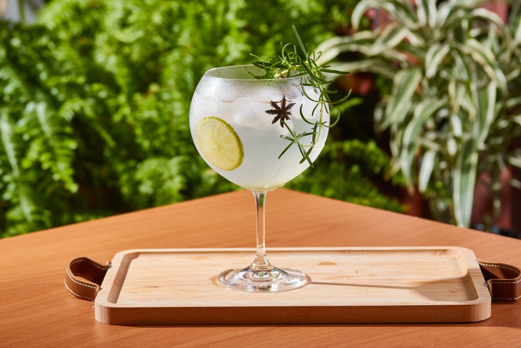 Taça de gin Havan Casa