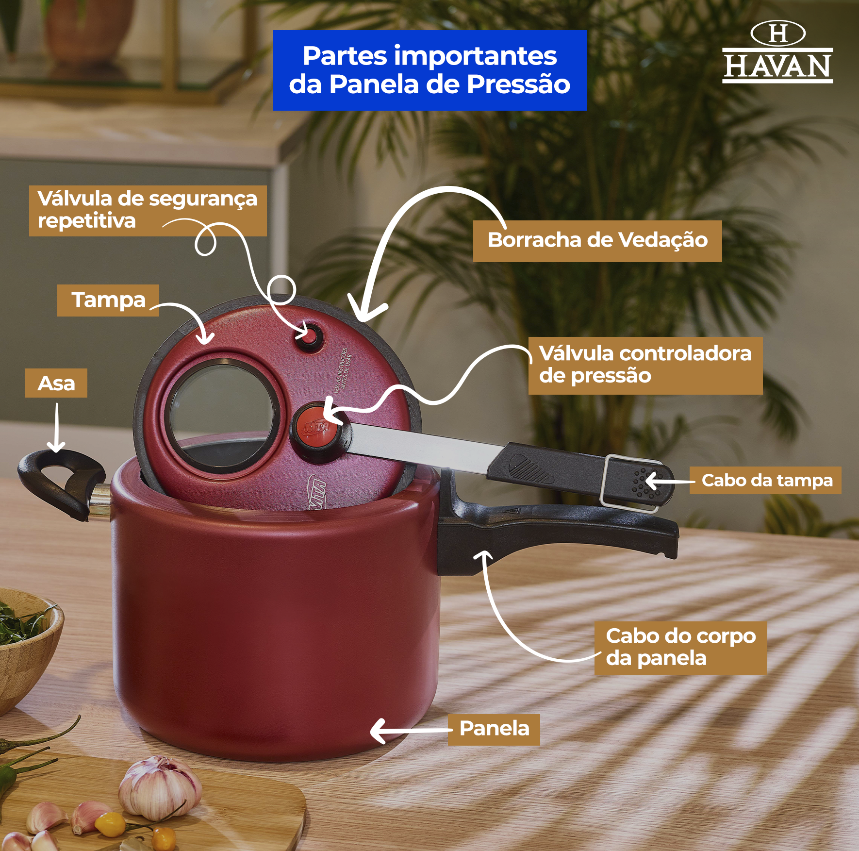 Partes da panela de pressão